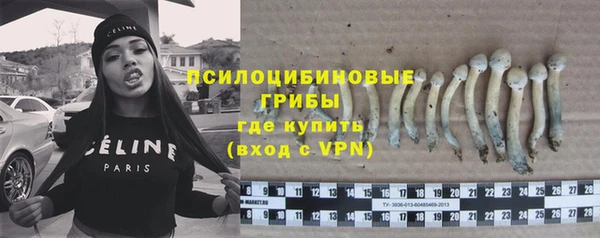 ешки Краснослободск